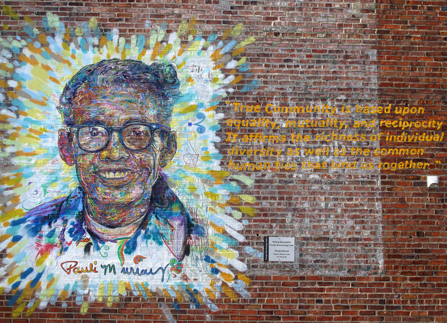 Pauli Murray community artwork></a>
                </div>
                <div class=